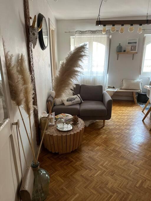 Appartement Carmes, Hypercentre Toulouse Extérieur photo